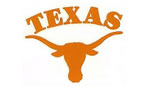 Logo of Texas Southmost College